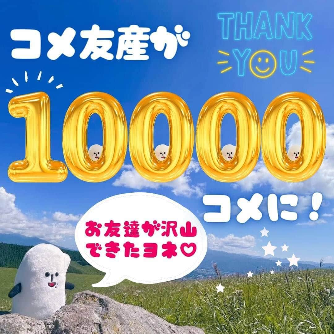 コメ助さんのインスタグラム写真 - (コメ助Instagram)「.  🌸✨🌸✨🌸✨🌸✨  コメ友産１万コメ！！に なったコメ( ⁎ᵕᴗᵕ⁎ )わぁ❣️  🌸✨🌸✨🌸✨🌸✨  . たいせつなみな産へ🫶🏻  ぼくや #公明党 を大応援してくださり、 本当にありがとうコメ❣️  みな産とぼくはずっと #家族 だヨネ🤝🏻✨ いつも一緒だヨネ☺️🌈 そう思うと #元気 がでるコメ！  . これからも、みな産のちからになる #お米 になっていけるように 沢山努力して📖✨ 成長し続けていくヨネ！  これからもよろしくお願いしますコメ☺️💞  #新米 #お米 #稲  #勉強 #study 📖 #ありがとう #thankyou #お友達 #家族 #family #コメ友産がだいすき 🫶🏻 #love 🌏✨」11月27日 14時58分 - komenichiwa