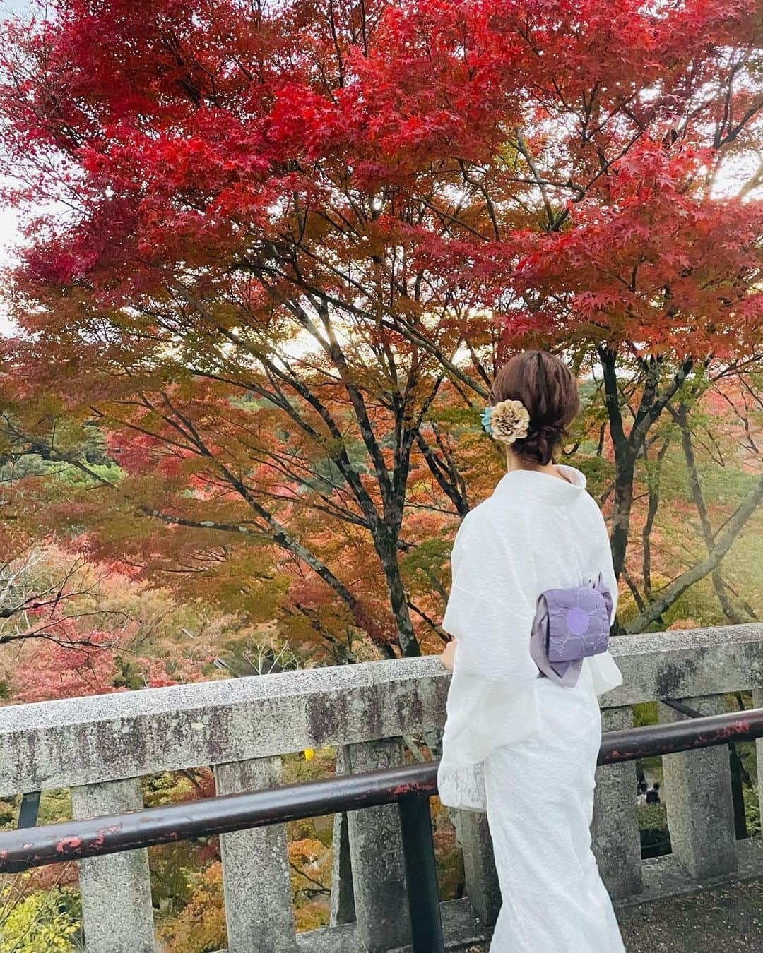 田尻夏樹（なつきんぐ）さんのインスタグラム写真 - (田尻夏樹（なつきんぐ）Instagram)「紅葉×京都×着物 の組み合わせは最高にすきすぎる🍁　 　 観光地のど真ん中祇園にあるホテルって助かる🙈✨」11月27日 18時00分 - tajiri_natsuki