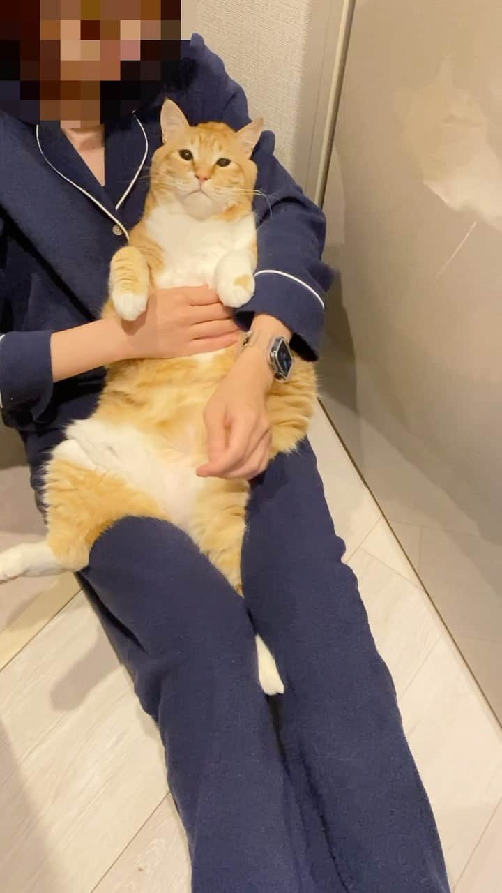 のインスタグラム：「＊ ミートテック、はじました。 ・ #脱力おパンツ ・ Patting.」