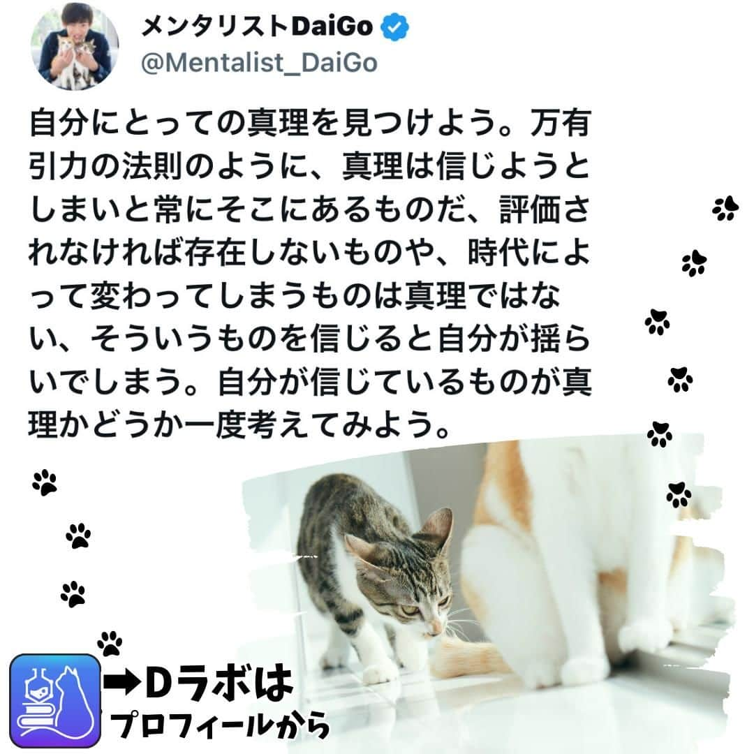 メンタリストDaiGoさんのインスタグラム写真 - (メンタリストDaiGoInstagram)「🐈本日の名言📚 プロフィールからDラボもみてね  #心理学 #メンタリスト #dラボ  #dラボはプロフィールから」11月27日 8時00分 - mentalistdaigo