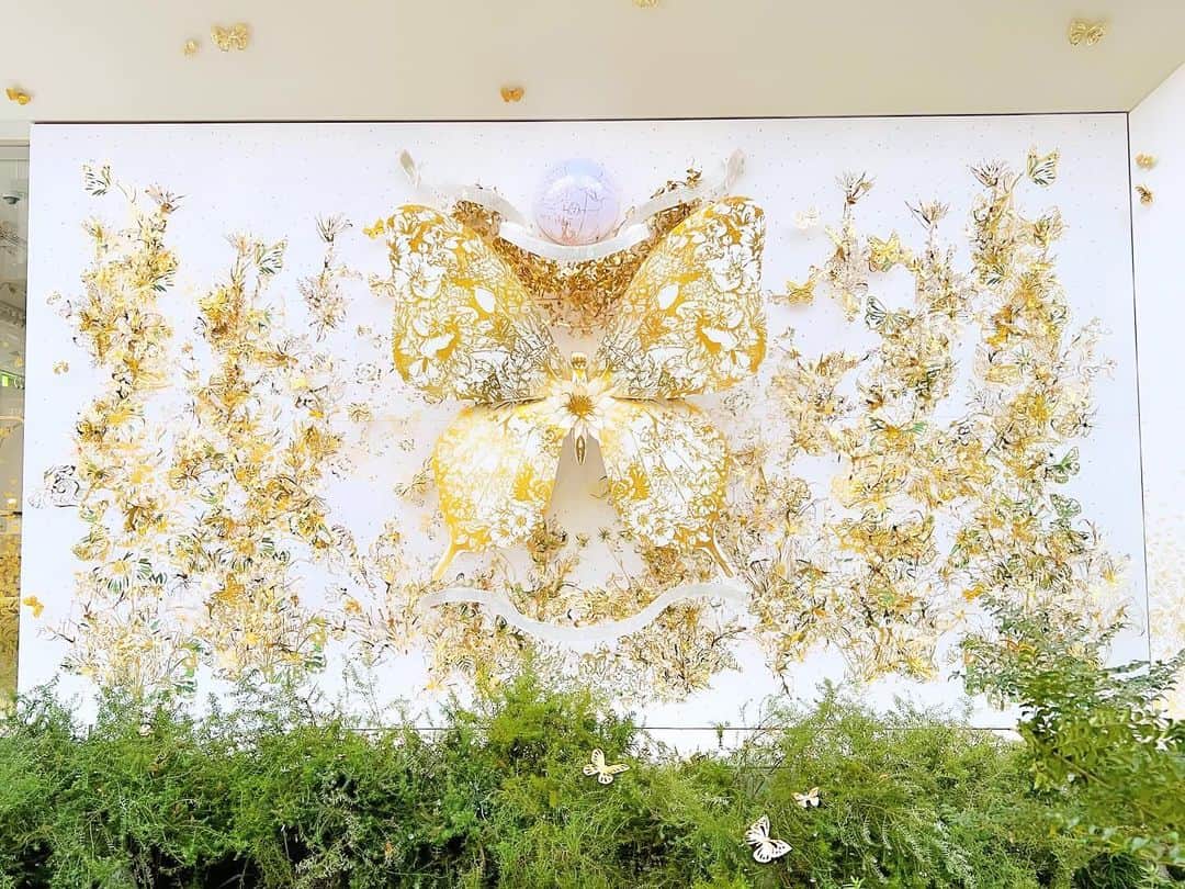 YOKANさんのインスタグラム写真 - (YOKANInstagram)「《OhaYOKAN》  今朝の 原宿表参道は曇りのち晴れ…☀️  清々しく さわやかな小春日和の朝🌅  朝ラン＆ウォークは快調でした…🏃‍♀️👟  さて  今週の YOKANは  ・アレンジ＆譜面作成 ・レコーディング ・ライブ用リハーサル ・ライブ（12/1…後日告知します） ・ラジオ番組の収録、編集＆完パケ ・遅れている事務作業 ・ゴミ拾いのボランティア ・合間に断捨離＆大掃除レンジャー 　（レンジャー募集中！！）  楽しみながらがんばりまーす…🙋‍♀️  みなさま  笑顔でステキな1週間を…💓  ※今朝の  《YOKAN散歩》  街角アート写真は  クリスマス便り…🎄✨  表参道 交差点にて  『DIOR：ディオール』  ディオール  ホリデーポップアップが開催中❣️  ホワイトベースの建物に  ゴールドの キラキラとした  蝶や クリスマスツリーが  目を惹きます…🎄✨  朝ではなく  綺麗に ライティングされた  夜に観てみたいです…✨  ☆12月25日まで開催☆  #harajuku #omotesando #tokyo #原宿 #表参道 #morning #朝 #running #ジョギング #朝ラン #walking #ウォーキング #朝活 #OhaYOKAN #YOKAN散歩 #YOKAN #streetart #街角アート #クリスマス便り #ChristmasReport #christmastree #クリスマスツリー #butterfly #蝶 #Dior #ディオール #ディオールホリデーポップアップ #tokyocameraclub #インスタ映え #笑顔でステキな1日を💓」11月27日 8時04分 - yokanstudio