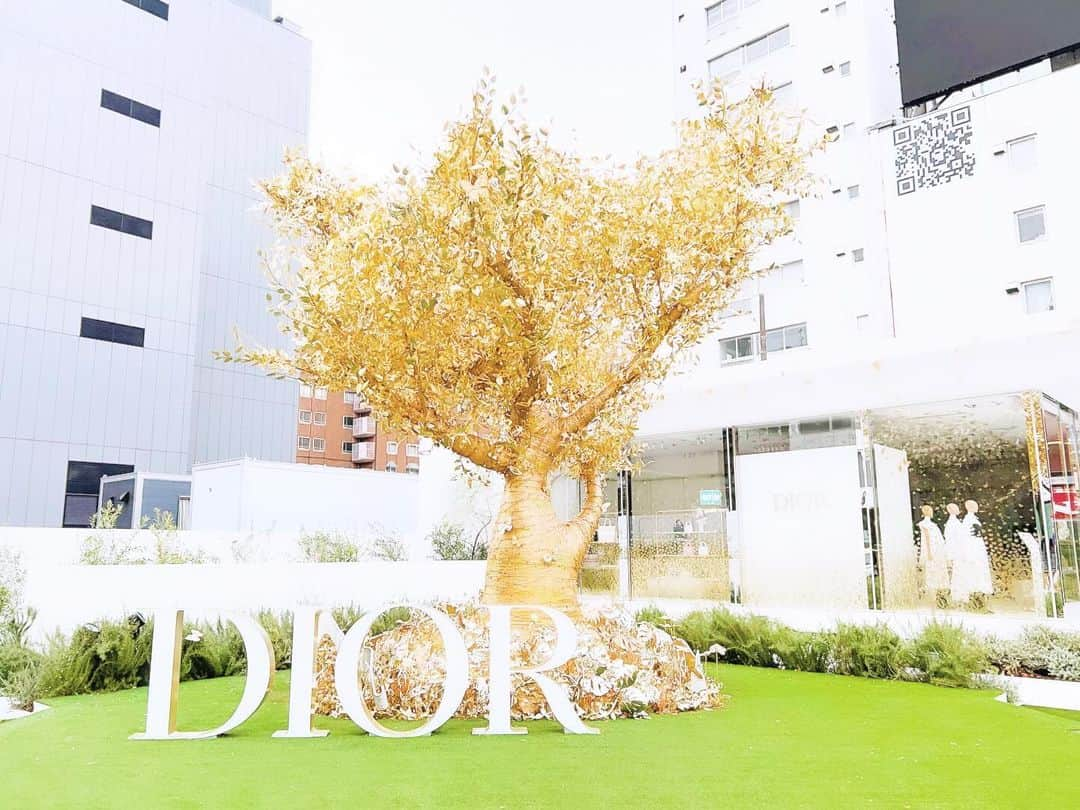 YOKANのインスタグラム：「《OhaYOKAN》  今朝の 原宿表参道は曇りのち晴れ…☀️  清々しく さわやかな小春日和の朝🌅  朝ラン＆ウォークは快調でした…🏃‍♀️👟  さて  今週の YOKANは  ・アレンジ＆譜面作成 ・レコーディング ・ライブ用リハーサル ・ライブ（12/1…後日告知します） ・ラジオ番組の収録、編集＆完パケ ・遅れている事務作業 ・ゴミ拾いのボランティア ・合間に断捨離＆大掃除レンジャー 　（レンジャー募集中！！）  楽しみながらがんばりまーす…🙋‍♀️  みなさま  笑顔でステキな1週間を…💓  ※今朝の  《YOKAN散歩》  街角アート写真は  クリスマス便り…🎄✨  表参道 交差点にて  『DIOR：ディオール』  ディオール  ホリデーポップアップが開催中❣️  ホワイトベースの建物に  ゴールドの キラキラとした  蝶や クリスマスツリーが  目を惹きます…🎄✨  朝ではなく  綺麗に ライティングされた  夜に観てみたいです…✨  ☆12月25日まで開催☆  #harajuku #omotesando #tokyo #原宿 #表参道 #morning #朝 #running #ジョギング #朝ラン #walking #ウォーキング #朝活 #OhaYOKAN #YOKAN散歩 #YOKAN #streetart #街角アート #クリスマス便り #ChristmasReport #christmastree #クリスマスツリー #butterfly #蝶 #Dior #ディオール #ディオールホリデーポップアップ #tokyocameraclub #インスタ映え #笑顔でステキな1日を💓」