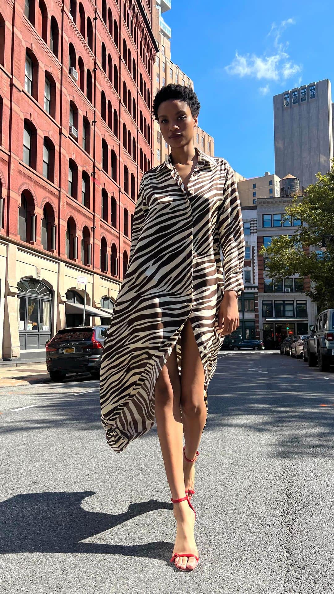 シンシア ローリーのインスタグラム：「Concrete Jungle 🦓🏙️」