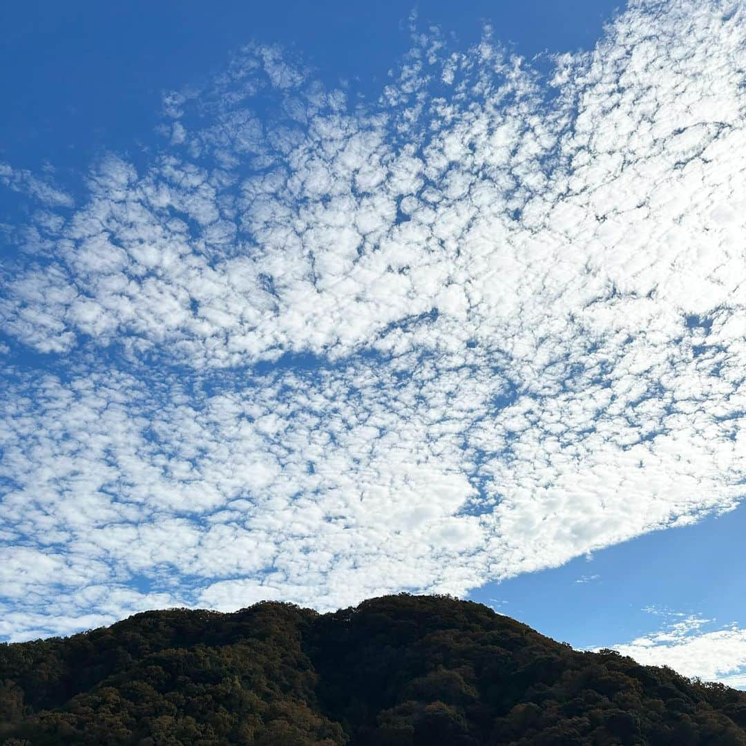 kyoco_ococのインスタグラム：「週末は初の母子旅👩‍👧‍👦 ずっと忙しくバタバタしてたから子供達とゆっくりしたくて 近場で自然いっぱい楽しめそうなVisonへ🚗  小さな頃からは考えられない程 大分楽になったな😌  あっという間に大きくなっちゃって、 こうして一緒に旅行に行ったり遊びに行ける機会も減ってくのかなと思うと大切に沢山過ごしたいなと思った🥰  #vison#visonhotel#hotelvison #ヴィソン#ヴィソンホテル#母子旅#週末旅行#兄妹ママ」