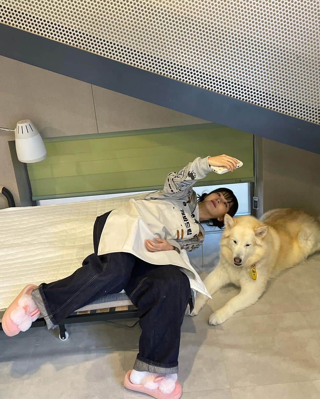 スルギさんのインスタグラム写真 - (スルギInstagram)「동물농장❤️ 오복이와 진돌이 바비 강산이 순이 룽지 짜장이 보고싶어!!!🥹🥹」11月27日 16時09分 - hi_sseulgi