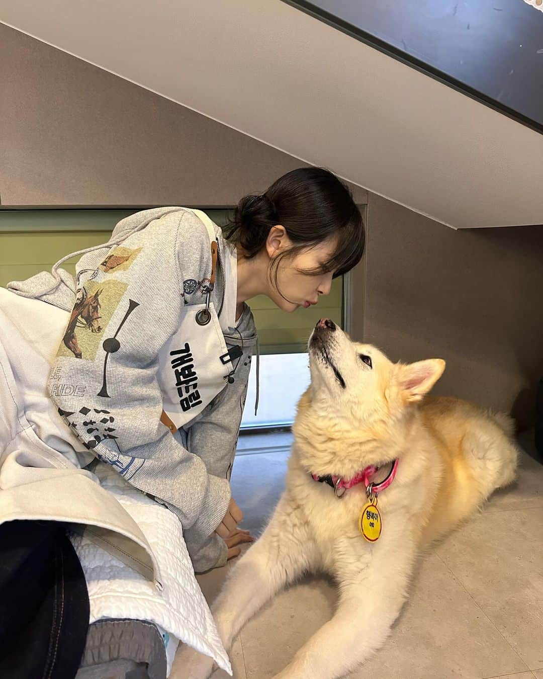 スルギさんのインスタグラム写真 - (スルギInstagram)「동물농장❤️ 오복이와 진돌이 바비 강산이 순이 룽지 짜장이 보고싶어!!!🥹🥹」11月27日 16時09分 - hi_sseulgi