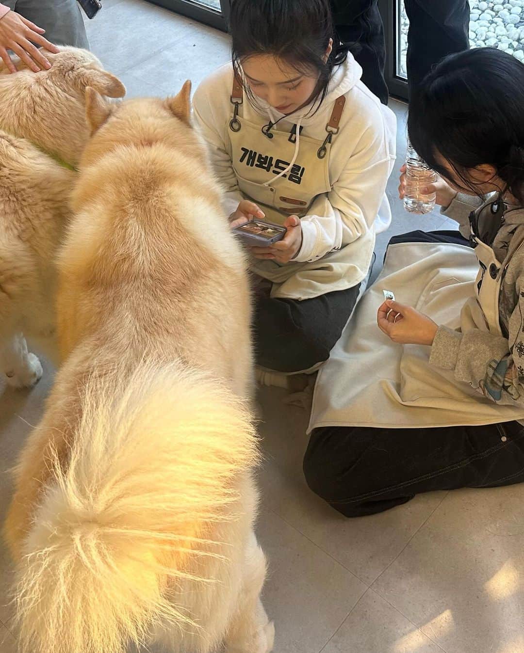 スルギさんのインスタグラム写真 - (スルギInstagram)「동물농장❤️ 오복이와 진돌이 바비 강산이 순이 룽지 짜장이 보고싶어!!!🥹🥹」11月27日 16時09分 - hi_sseulgi