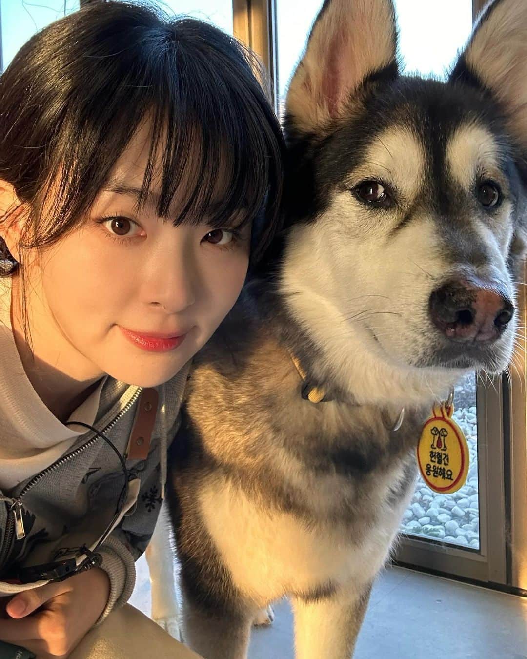 スルギさんのインスタグラム写真 - (スルギInstagram)「동물농장❤️ 오복이와 진돌이 바비 강산이 순이 룽지 짜장이 보고싶어!!!🥹🥹」11月27日 16時09分 - hi_sseulgi