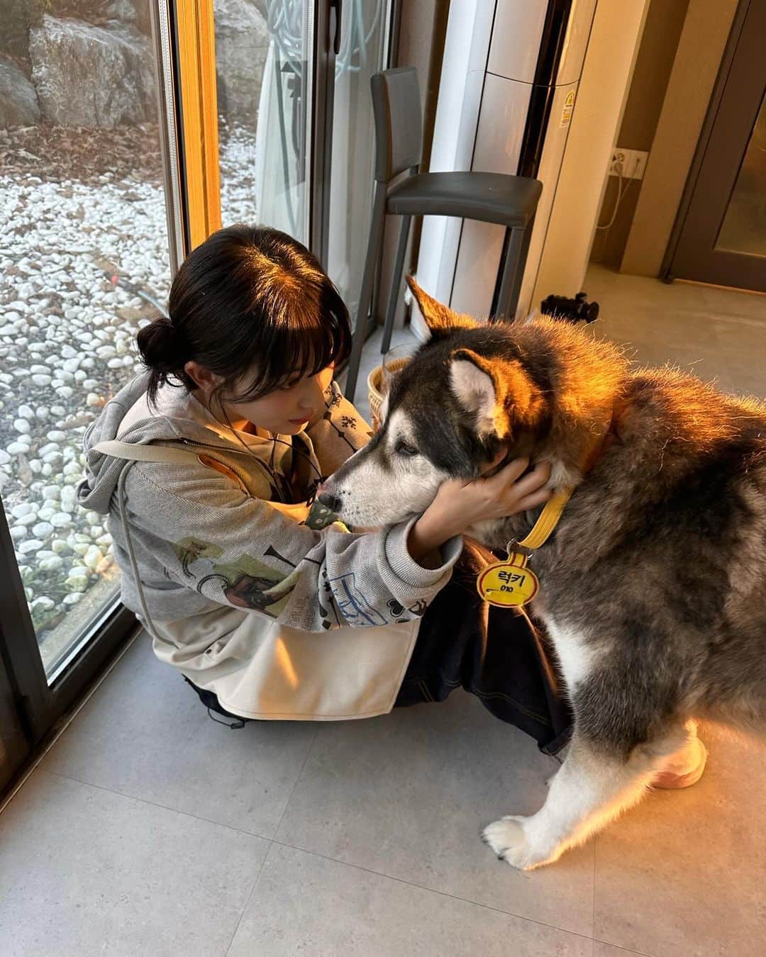 スルギさんのインスタグラム写真 - (スルギInstagram)「동물농장❤️ 오복이와 진돌이 바비 강산이 순이 룽지 짜장이 보고싶어!!!🥹🥹」11月27日 16時09分 - hi_sseulgi