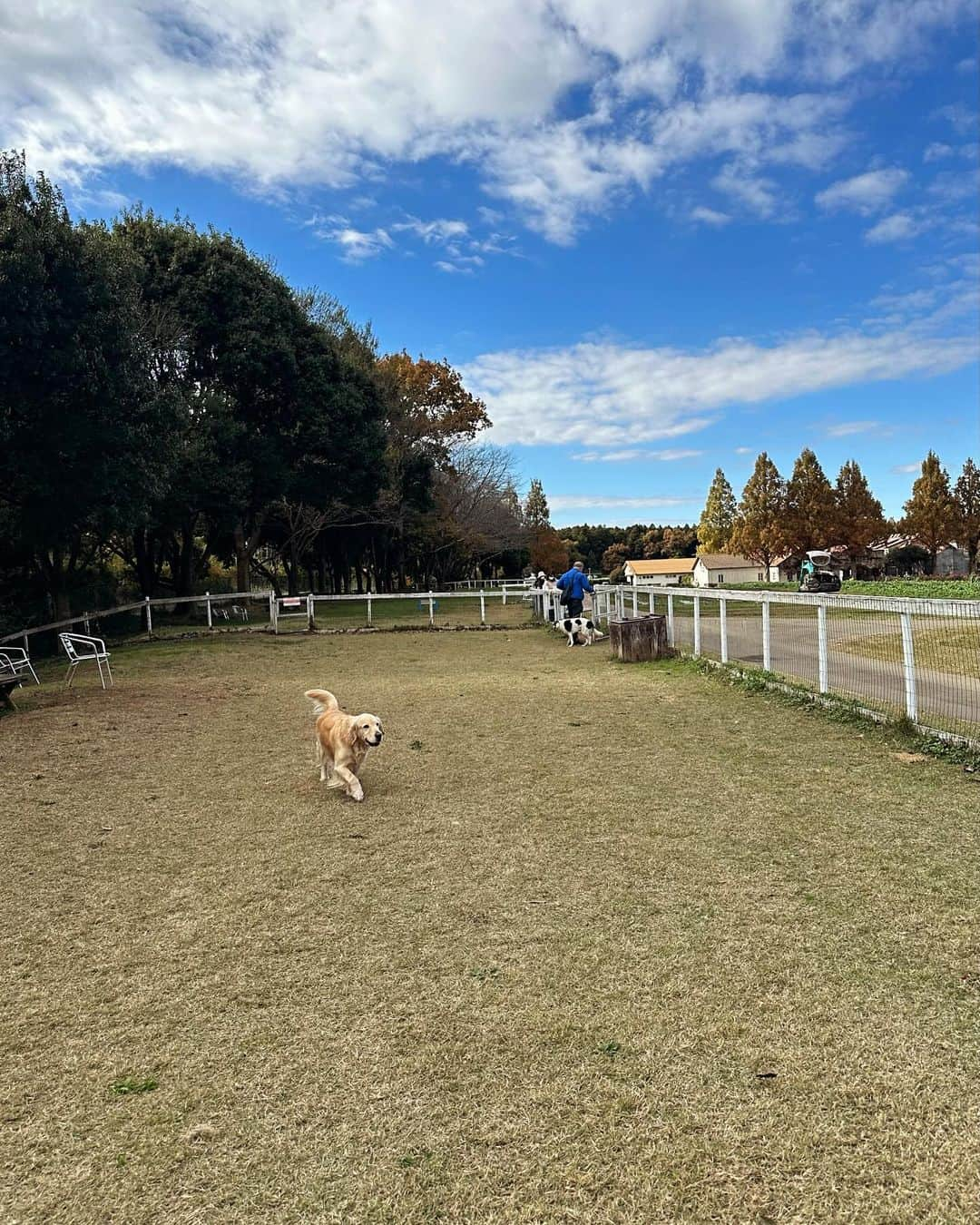 宮本沙恵さんのインスタグラム写真 - (宮本沙恵Instagram)「紅葉が綺麗だった週末🍁 茨城の穴場スポットです…♡ キャンプやBBQも出来るよ〜！！⭐️ #ibaraki」11月27日 10時51分 - saebi