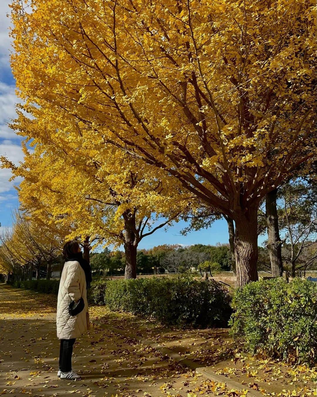 宮本沙恵のインスタグラム：「紅葉が綺麗だった週末🍁 茨城の穴場スポットです…♡ キャンプやBBQも出来るよ〜！！⭐️ #ibaraki」