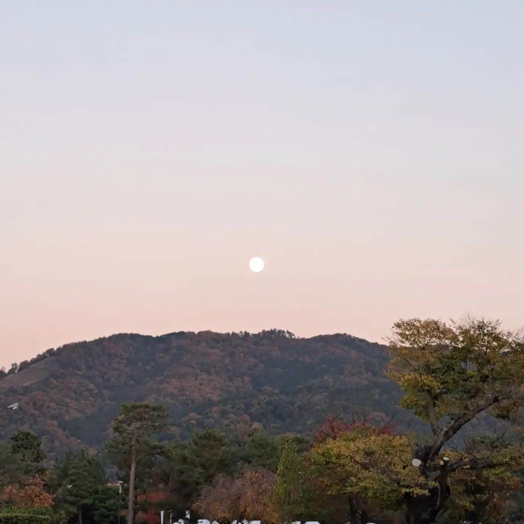 谷口キヨコのインスタグラム：「ほんと、キレイだった🍁まだもう少しキレイかな。 #東山　#京都の紅葉 #京都の紅葉2023 #谷口キヨコ　#キヨピー　#谷口流々 #東山の紅葉」