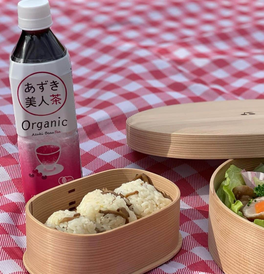 沢瀉美緒さんのインスタグラム写真 - (沢瀉美緒Instagram)「※ Picnic 🧺 @izumikimoto @m.n.h.memory 😌 . 泉ちゃんのお母様がいらしてて 合流させてもらって江戸城（笑） 今で言う皇居の東御苑でピクニックに🧺🤭 . 栗ご飯のおにぎりがすごく美味しくて たくさん頂いちゃいました。 . ご馳走さまでした😋 . 靖国神社を抜ける途中 なんだか長蛇の列ができていたので 何の列ですか？とお尋ねしたら、 お餅を配っているのでもらっていってね！と。 . ありがたく、つきたてのお餅も頂いて おやつにいただきました。 . . #ピクニック #picnic #東御苑 #江戸城」11月27日 11時19分 - mio_omodaka