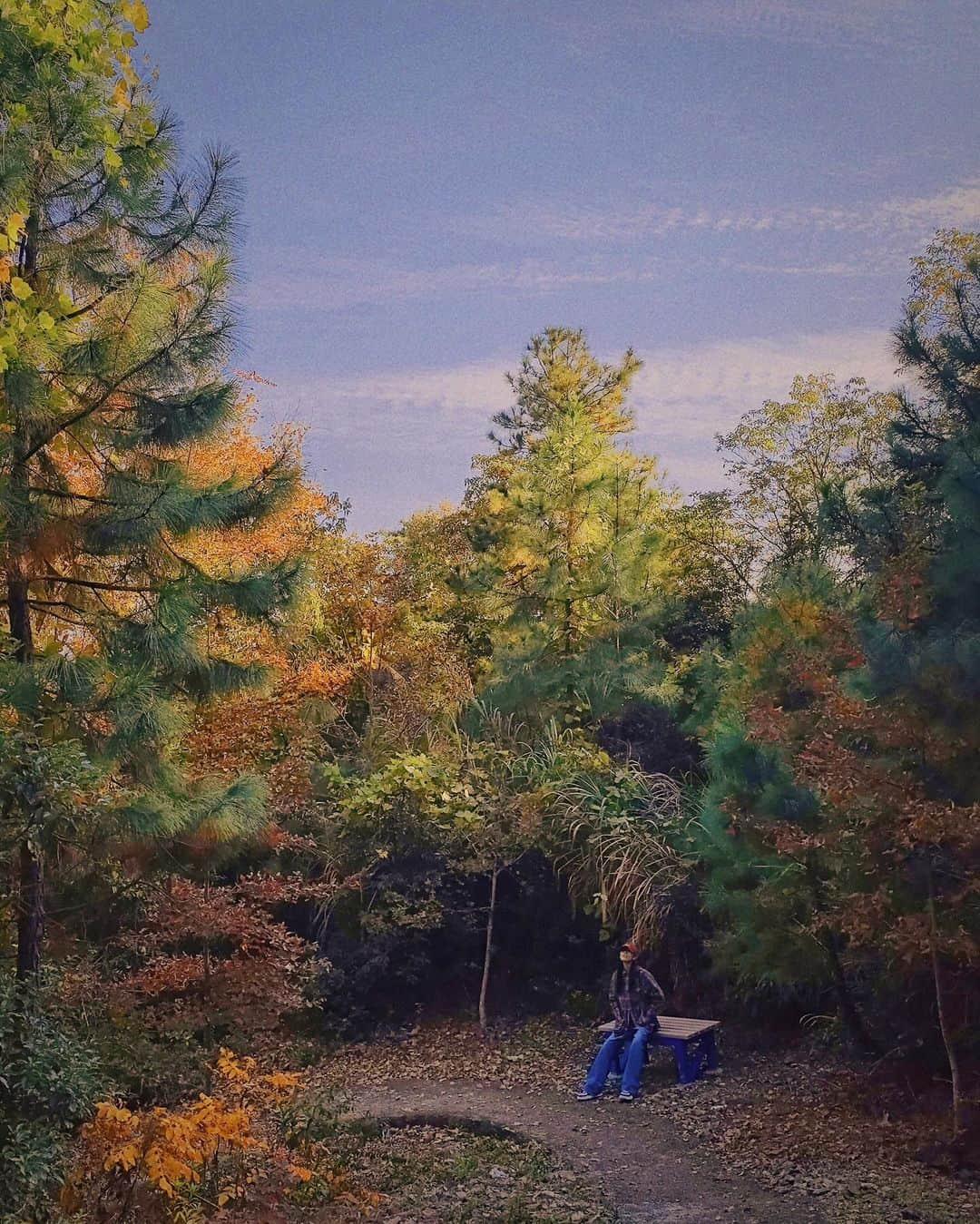 リウ・ウェンのインスタグラム：「Winter time, but I'm still in autumn colors 🍂」