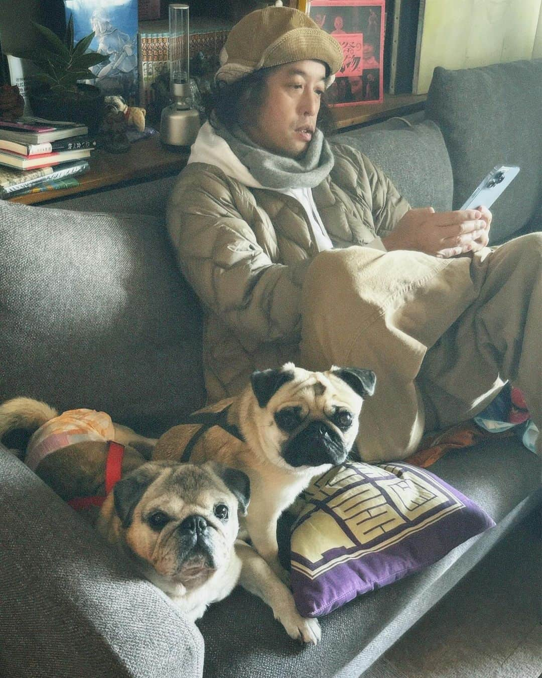 やついいちろうのインスタグラム：「こぶしとこはだと私  散歩終わり  #pug #pugs #puglife #puglove #パグ #パグスタグラム #うちの犬がおじいちゃんになっちゃった」