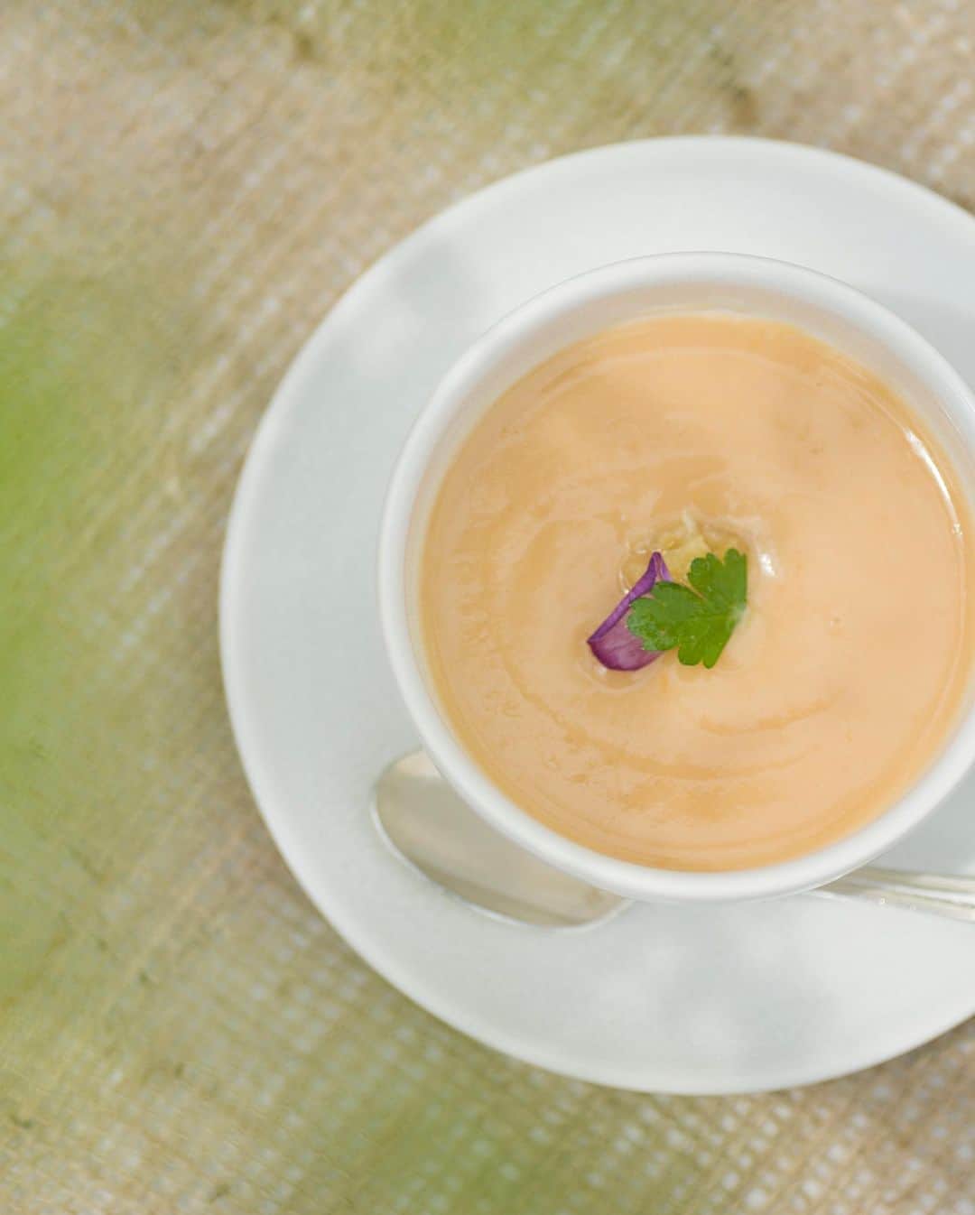 結婚式場 ヴィラ・デ・マリアージュ宇都宮さんのインスタグラム写真 - (結婚式場 ヴィラ・デ・マリアージュ宇都宮Instagram)「＊ 旬の野菜を使った#スープ  「ヴルーテ」  #ヴルーテ には “なめらかな”や“絹のような”という意味がごさまいます。  生クリームやバターを使わずに 素材のおいしさを最大限に活かせるよつ 季節の旬の野菜を使って時間をかけてお作りしております。  料理のスタートになる「ヴルーテ」 ヴィラ・デ・マリアージュ宇都宮で 是非お楽しみくださいませ💐  #ひとりひとりの想いをつなぐ  #本物だけを誠実に  #ヴィラデマリアージュ  #ヴィラデマリアージュ宇都宮  #宇都宮結婚式場  #宇都宮結婚式」11月27日 12時00分 - villas_des_mariages_utsunomiya