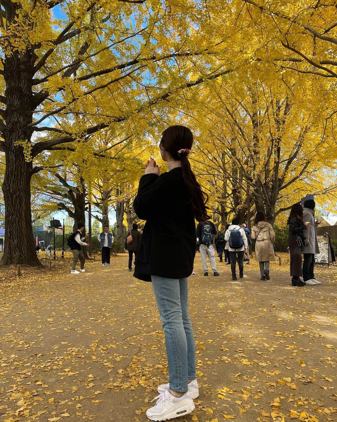 松雪彩花さんのインスタグラム写真 - (松雪彩花Instagram)「いちょうに囲まれて🍂 昭和記念公園は広かった。」11月27日 12時59分 - ayakamatsuyuki