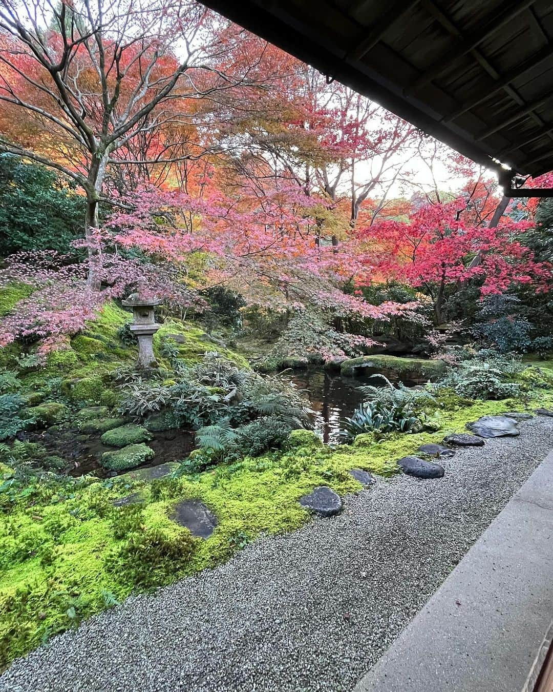 ムッシュピエールさんのインスタグラム写真 - (ムッシュピエールInstagram)「昨日は紅葉狩り。圓光寺さんの後は瑠璃光院さんへ ここは予約制なのでふらっと行っても入れません。 磨き上げた漆塗りの机に映る紅葉。ほんとにトレビあーんざますね！ その上にある丘に登ると綺麗な夕焼け 素晴らしい1日でした👍  #紅葉狩り #瑠璃光院  #瑠璃 #ラピスラズリ  #夕焼け」11月27日 13時13分 - m.pierr