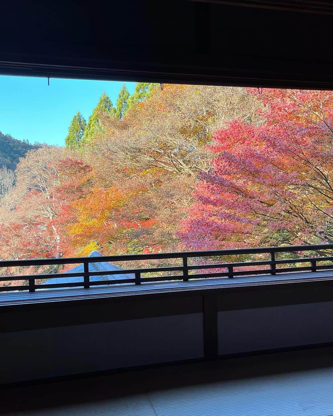 ムッシュピエールさんのインスタグラム写真 - (ムッシュピエールInstagram)「昨日は紅葉狩り。圓光寺さんの後は瑠璃光院さんへ ここは予約制なのでふらっと行っても入れません。 磨き上げた漆塗りの机に映る紅葉。ほんとにトレビあーんざますね！ その上にある丘に登ると綺麗な夕焼け 素晴らしい1日でした👍  #紅葉狩り #瑠璃光院  #瑠璃 #ラピスラズリ  #夕焼け」11月27日 13時13分 - m.pierr