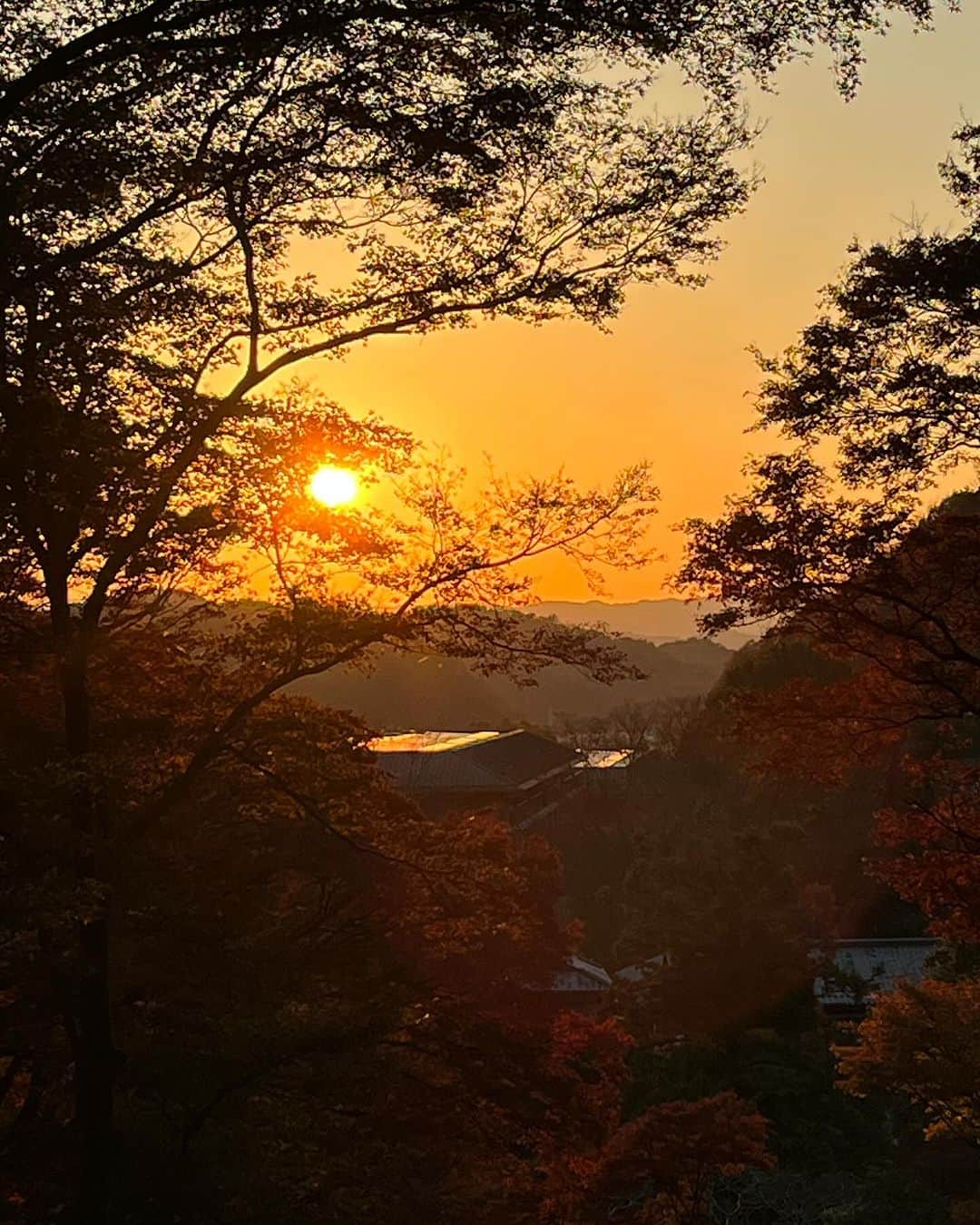 ムッシュピエールさんのインスタグラム写真 - (ムッシュピエールInstagram)「昨日は紅葉狩り。圓光寺さんの後は瑠璃光院さんへ ここは予約制なのでふらっと行っても入れません。 磨き上げた漆塗りの机に映る紅葉。ほんとにトレビあーんざますね！ その上にある丘に登ると綺麗な夕焼け 素晴らしい1日でした👍  #紅葉狩り #瑠璃光院  #瑠璃 #ラピスラズリ  #夕焼け」11月27日 13時13分 - m.pierr