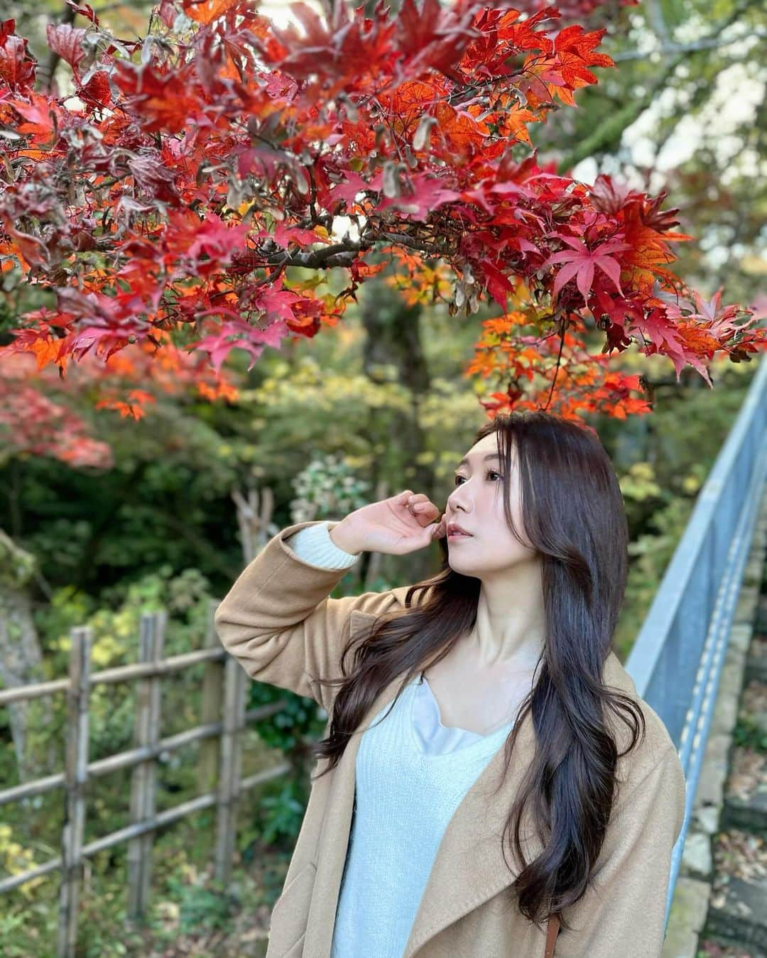 穂川果音さんのインスタグラム写真 - (穂川果音Instagram)「どうも紅葉リサーチャーです🍁笑笑 11月25日時点での湯河原の万葉公園での紅葉の様子！ まだ緑色の葉っぱも多いけど、綺麗な赤色に色づいているところもあって、見頃はもう少し後かなぁという印象ですが、長い期間紅葉が楽しめそうでした〜✨  万葉公園は初めて行ったんだけど、滝があったり足湯やテラスもあったりお散歩がとても楽しめる施設で良かったよ〜😊  #国内旅行 #湯河原　#湯河原観光 #japantravel #紅葉　#autumnleaves #yugawara」11月27日 13時45分 - hokawakanonn