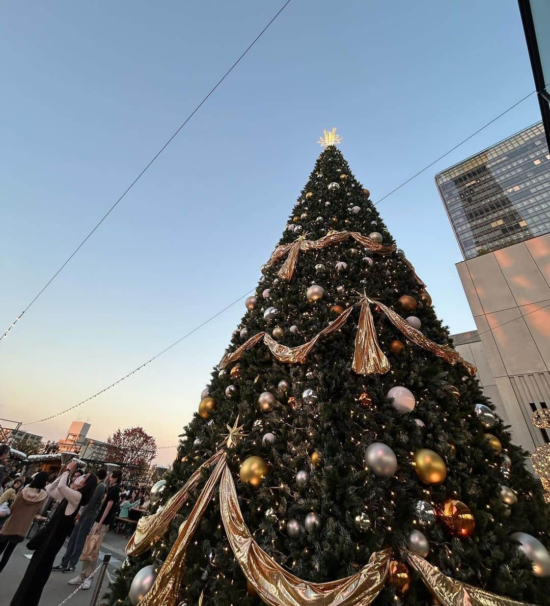 下尾みうさんのインスタグラム写真 - (下尾みうInstagram)「クリスマスツリー🎄見て、 推しメン💗見て、 いいクリスマスマーケットでした‼️  #押上　#クリスマスマーケット　#スカイツリー #冬」11月27日 14時21分 - miumiu1343