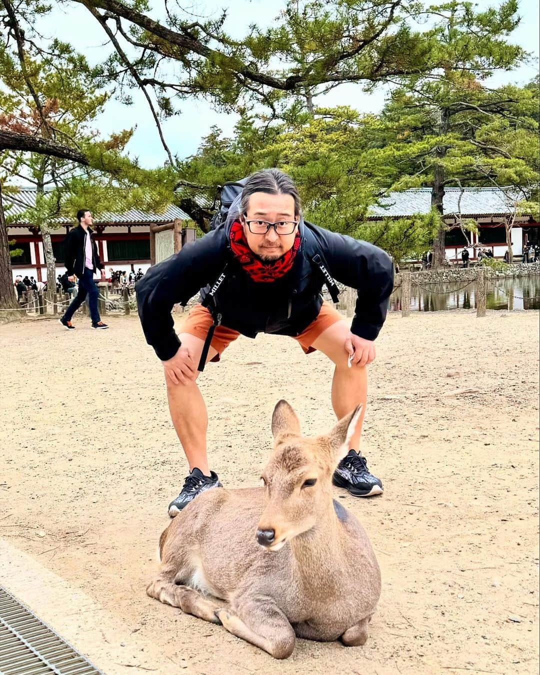 澤田修さんのインスタグラム写真 - (澤田修Instagram)「◆奈良・京都の旅 ⁡ 心安らぎました。  #長谷寺  #東大寺  #大仏殿  #平等院鳳凰堂」11月27日 23時46分 - nikushokuju1