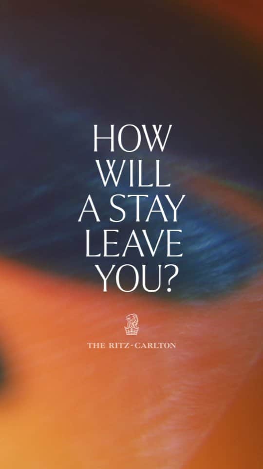 リッツ・カールトンのインスタグラム：「Come out of your shell and spread your wings. Fly away better than you arrived with The Ritz-Carlton — How will a stay leave you?」