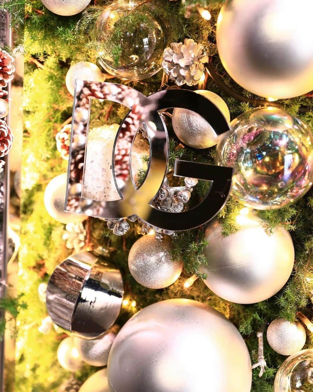 岡田蓮さんのインスタグラム写真 - (岡田蓮Instagram)「DOLCE&GABBANA HOLIDAY 2023 Private Party  12月25日(月)までの間ドルチェ＆ガッバーナ 青山で、フラワーアーティスト、ニコライ・バーグマンによる高さ約4メートルのオリジナルクリスマスツリーが展示されています🎄実際に見ると、とても大きくてクリスマスが近づいてきたなーと感じました🎅🩷お洋服やバックもとても可愛かったです‼︎ 　  @dolcegabbana  #DolceGabbana #DGHolidays #ドルチェガッバーナ #DGホリデー #pr」11月27日 23時51分 - ren.479