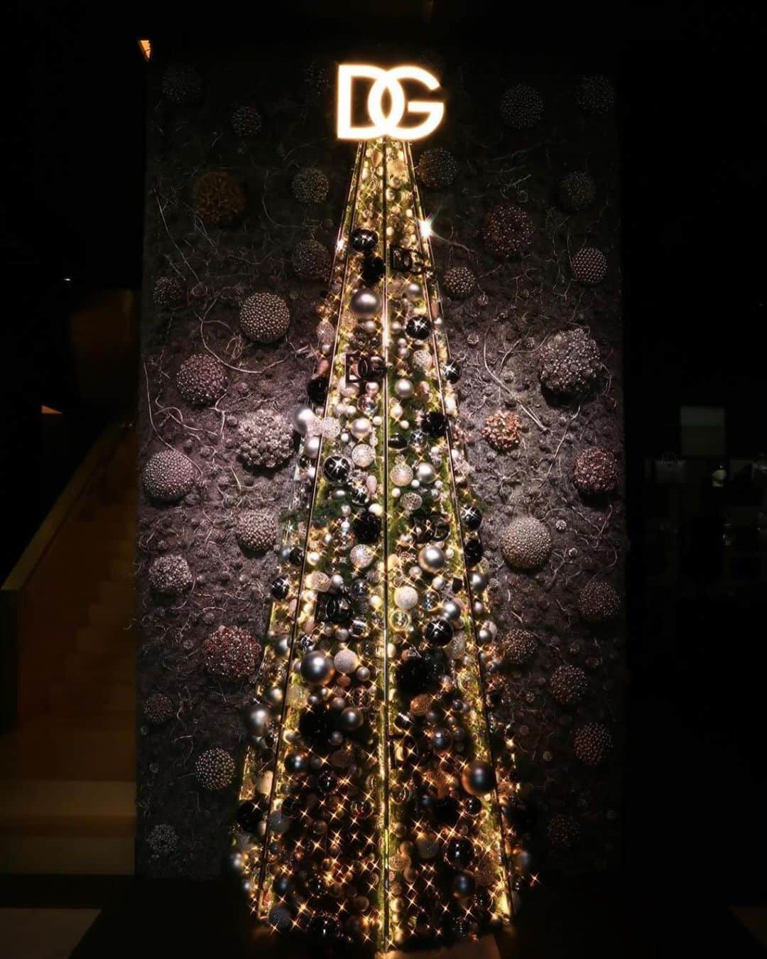 岡田蓮さんのインスタグラム写真 - (岡田蓮Instagram)「DOLCE&GABBANA HOLIDAY 2023 Private Party  12月25日(月)までの間ドルチェ＆ガッバーナ 青山で、フラワーアーティスト、ニコライ・バーグマンによる高さ約4メートルのオリジナルクリスマスツリーが展示されています🎄実際に見ると、とても大きくてクリスマスが近づいてきたなーと感じました🎅🩷お洋服やバックもとても可愛かったです‼︎ 　  @dolcegabbana  #DolceGabbana #DGHolidays #ドルチェガッバーナ #DGホリデー #pr」11月27日 23時51分 - ren.479