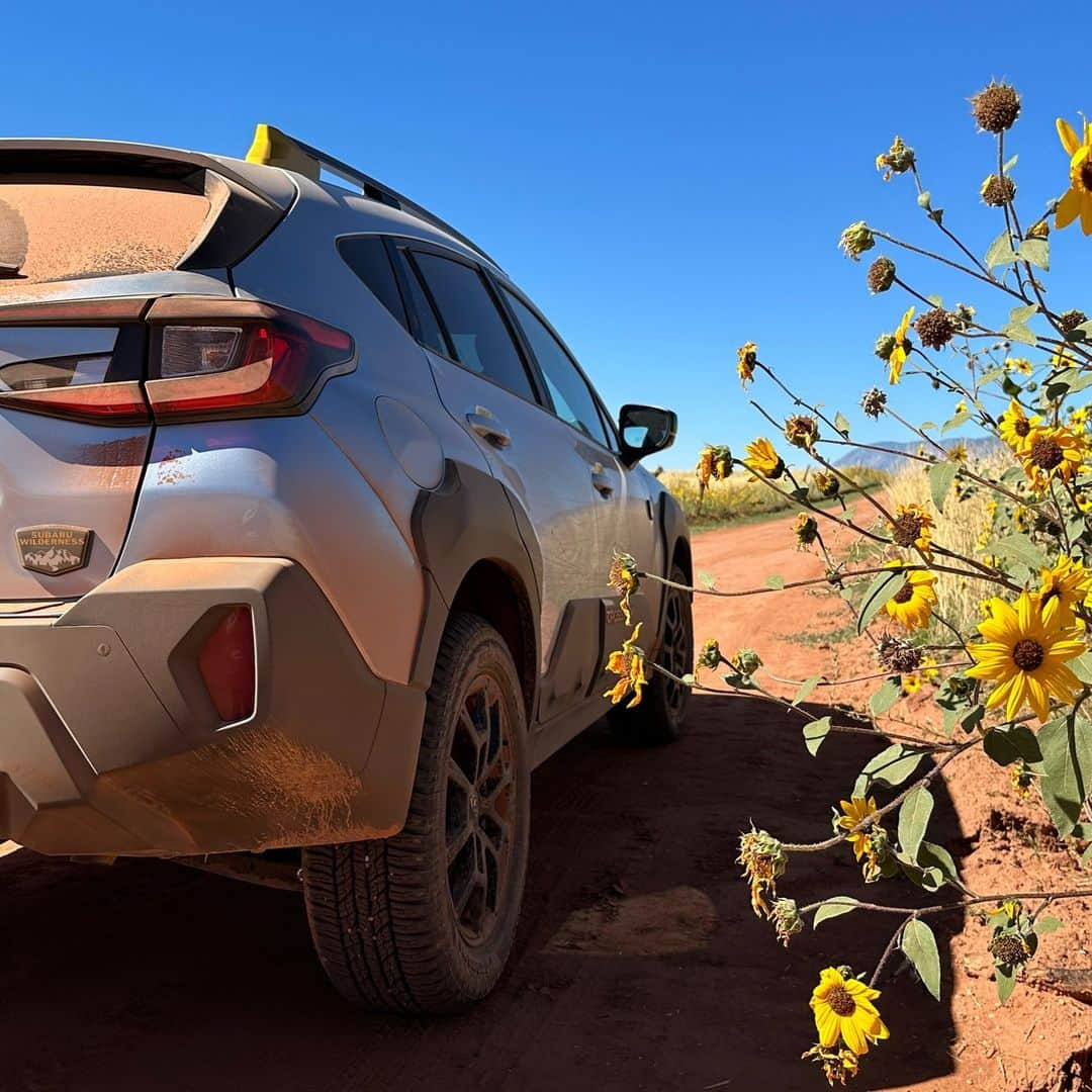 Subaru of Americaのインスタグラム：「Beat those Monday blues and start planning your next Subaru adventure to a place that makes you happy!」