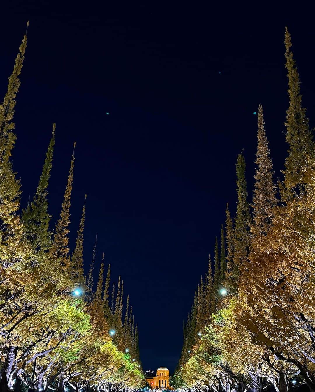 香里奈さんのインスタグラム写真 - (香里奈Instagram)「Long time no see 📸  #illumination  #lightup #tokyo #japan #再生可能エネルギー #神宮外苑イチョウ並木 #SDGs #tokyochristmasmarket  #2023 #明治神宮外苑 #💡 #✨ #🌃 #🎪 #🍺 #🍬 #🍗 #🎄 #🦪 #🍲 #💛 #香里奈 #karina」11月28日 0時51分 - karina_official_221