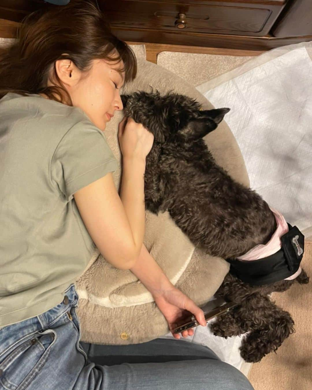 竹渕慶さんのインスタグラム写真 - (竹渕慶Instagram)「先日、愛犬ブラッキー（愛称ぶぅ）が、16才で天国へ行きました💐 ぶぅは本当にやさしい犬でした。私が一生をかけても学びきれないであろう愛を、最初から持って生まれてきました。そしてそれを惜しみなく、私たちに与え続けてくれました。無償の愛が本当に存在することを知り、そしてそのようなものを自分の中にも感じたのは、ぶぅと出会ってからです。 傷つき消えたいと思った17歳の私、母にひどいことを言って傷つけた私、醜い顔で泣きじゃくっていた私。どんな私にも、何も言わずに寄り添ってくれました。ぶぅの目に偏見はなく、いつだってただの私として見てくれていました。そんな風に私もなりたい。ぶぅのような人間になりたいです。 ぶぅが空に行って世界から欠けてしまったぶぅ分の善良さを、私が一生かけて埋めていきたいです。 ぶぅ、愛を教えてくれてありがとう🥀 みなさん、ぶぅのことを心に置いてくれて、愛してくれて、ありがとうございました🌈  I love you to the moon and back, Buu. I’ll always keep you in my heart💐」11月27日 16時16分 - keibamboo