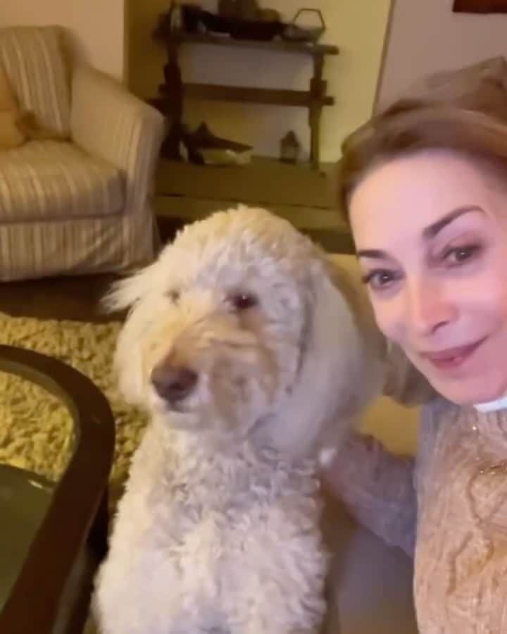 シャロン・ローレンスのインスタグラム：「@parkerthepdoodle and I are so excited to see @msbethanyjoylenz & @polahaha & @jonathansfrakes in #abiltmorechristmas featuring our NC treasure, @biltmoreestate on @hallmarkchannel」
