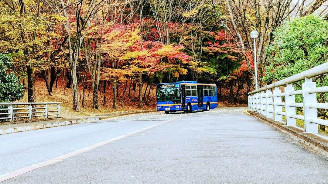 法政大学さんのインスタグラム写真 - (法政大学Instagram)「＼多摩キャンパスの秋風景をお届け／ もうすぐ12月。だいぶ寒くなってきましたね。 学生のみなさん！体調気を付けて、残りの秋学期お過ごしください～。 有意義な学校生活を過ごせることを願っています～。  #法政大学 #法政 #大学 #春から法政 #春から大学生 #受験生 #多摩 #キャンパスライフ #大学生活 #試験 #勉強 #授業 #サークル #大学受験 #受験 #紅葉 #秋 #HOSEI #hoseiuniversity #hosei #university #student #campuslife」11月27日 16時34分 - hosei_university