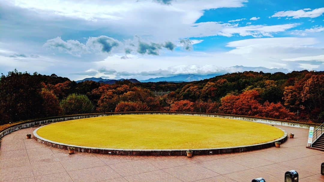 法政大学さんのインスタグラム写真 - (法政大学Instagram)「＼多摩キャンパスの秋風景をお届け／ もうすぐ12月。だいぶ寒くなってきましたね。 学生のみなさん！体調気を付けて、残りの秋学期お過ごしください～。 有意義な学校生活を過ごせることを願っています～。  #法政大学 #法政 #大学 #春から法政 #春から大学生 #受験生 #多摩 #キャンパスライフ #大学生活 #試験 #勉強 #授業 #サークル #大学受験 #受験 #紅葉 #秋 #HOSEI #hoseiuniversity #hosei #university #student #campuslife」11月27日 16時34分 - hosei_university