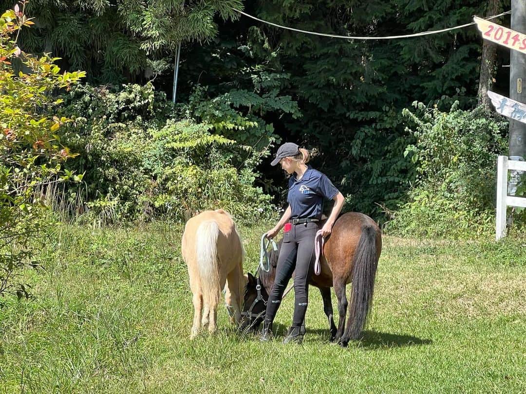 トラウデン直美のインスタグラム：「秋口にPonyたちと平和なお散歩🌼 校長が撮ってくれた写真〜！9歳の頃からお世話になってる、ほぼお父さん笑」