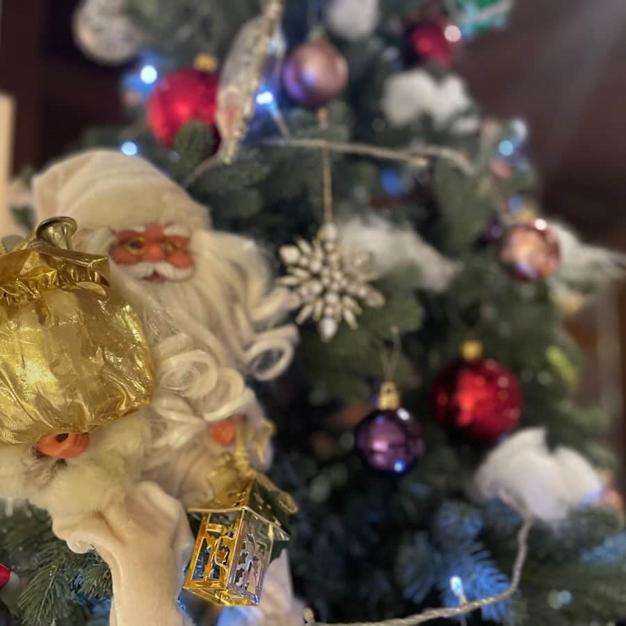 青山フェアリーハウスのインスタグラム：「. 当館にもクリスマスがやってきました🎄🎅🏻 . サンクスギビングレストラン・パーティーにつきまして こちらは全日程全て満席をいただいております🪅 空き席ができましたら Instagramにてお知らせさせていただきます📣 .」