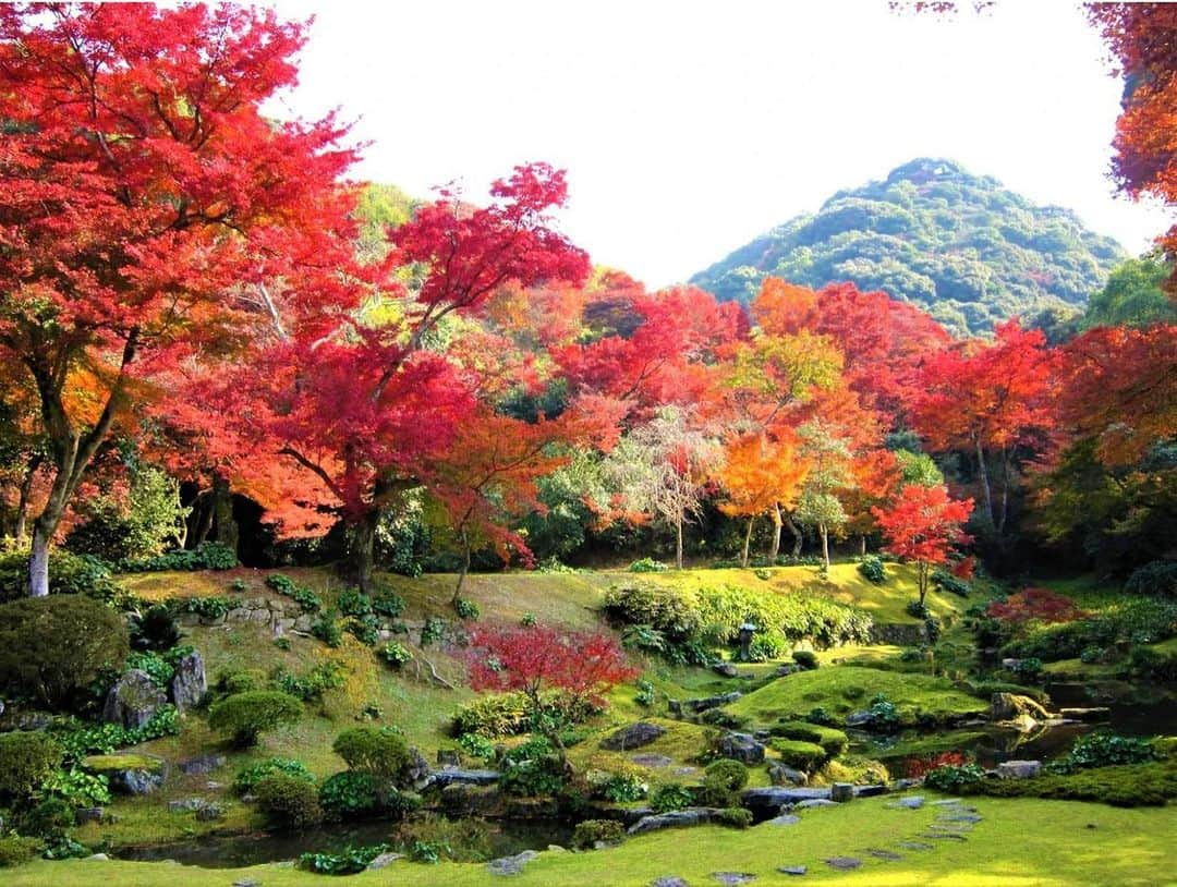 九州電力のインスタグラム：「雪舟が造ったとされる美しい庭園🍂✨ . 福岡県みやま市にある「本吉山 清水寺(きよみずでら)」は伝教大使（最澄）によって開かれた1200年余の歴史を持つお寺です。  境内には、雪舟が造ったとされる「本坊庭園」があり、愛宕山を借景に取り入れ、四季折々の見事な景色を望めます。 この時期は美しいイロハモミジの紅葉を楽しむことができますよ🍁 . ----------------------------------------------- 📍本吉山 清水寺 拝観料：大人300円、小中学生100円 拝観時間：9:00～17:00 休館日：月曜日（祝日の場合は除く） 住所：福岡県みやま市瀬高町1119－1 アクセス：九州道みやま柳川ICから約4分 駐車場：あり ----------------------------------------------- ※最新情報はホームページをご確認ください ※写真提供：本吉山 清水寺 ※写真は過去に撮影されたものです。  お届けする九州の風景が、皆さまの元気や癒しになれば幸いです☘️  #九州電力 #福岡 #清水寺 #みやま市 #本吉山清水寺 #清水寺本坊庭園 #紅葉 #紅葉狩り #紅葉スポット #福岡観光」