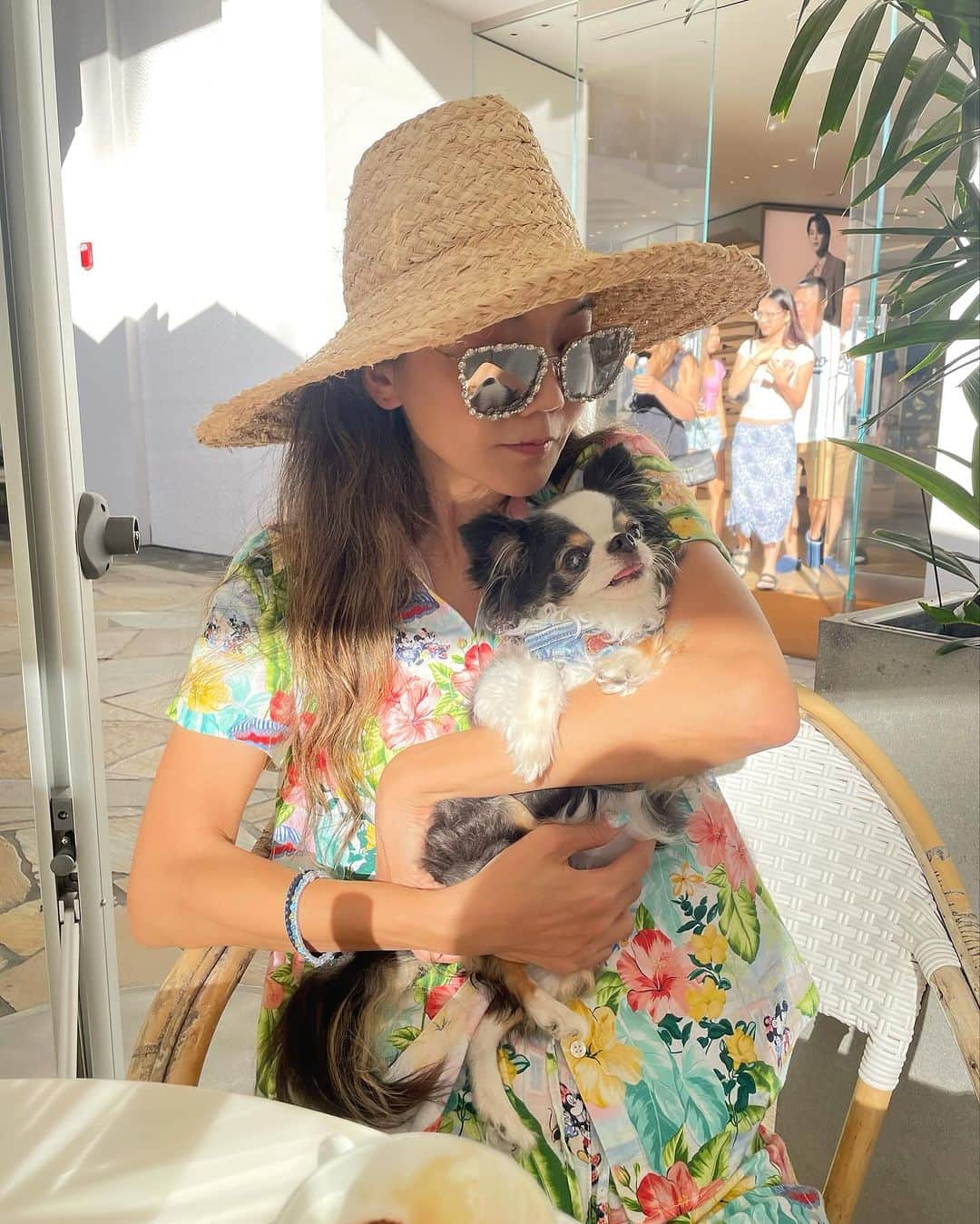 和央ようかさんのインスタグラム写真 - (和央ようかInstagram)「Back in Hawaii 🏝️🌈  やっと、ハワイに帰ってきました🏝️🌈  どんどん🐶待っていてくれて有難う。 今回もあまり長く居れないけど、たくさんお話しようね🐶  たくさん、太陽浴びて、リチャージしよう👍😊 着いてから既に3回も🌈を見た…  ありがとう  #takakoworldstylin🌎 #takakohawaiistylin🏝 #lifestyle #hawaii #hawaiilife #ハワイ生活#donfon🐶#どんどん#」11月27日 16時59分 - yokawao0215