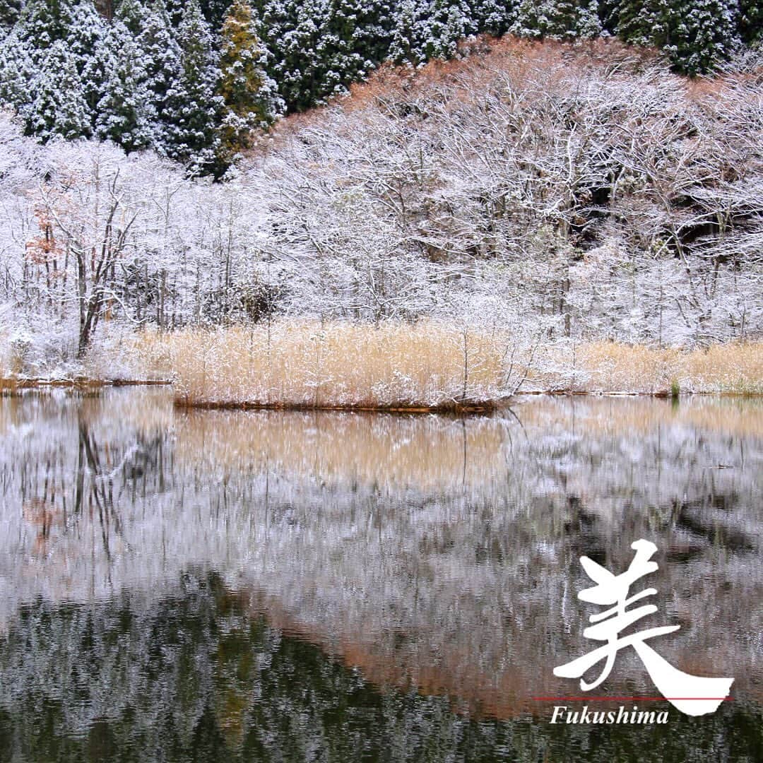 福島県のインスタグラム：「【初冬のびっき沼（福島市）】  福島市の土湯温泉町にある茂田沼（もだぬま）。  「びっき」とは方言でカエルのことで、以前からモリアオガエルが生息していたことから、びっき沼と呼ばれるようになりました。  春はミズバショウ、初夏はモリアオガエルの産卵、秋は紅葉が美しい沼も冬は白い雪に覆われ、静かなたたずまいを見せてくれます。   ※写真は過去に撮影したものです。   #びっき沼 #茂田沼 #初冬 #福島市 #県北地方 #福島県 #fukushimacity #fukushima #RealizeFukushima #NotADreamFukushima #ひとつひとつ実現するふくしま」