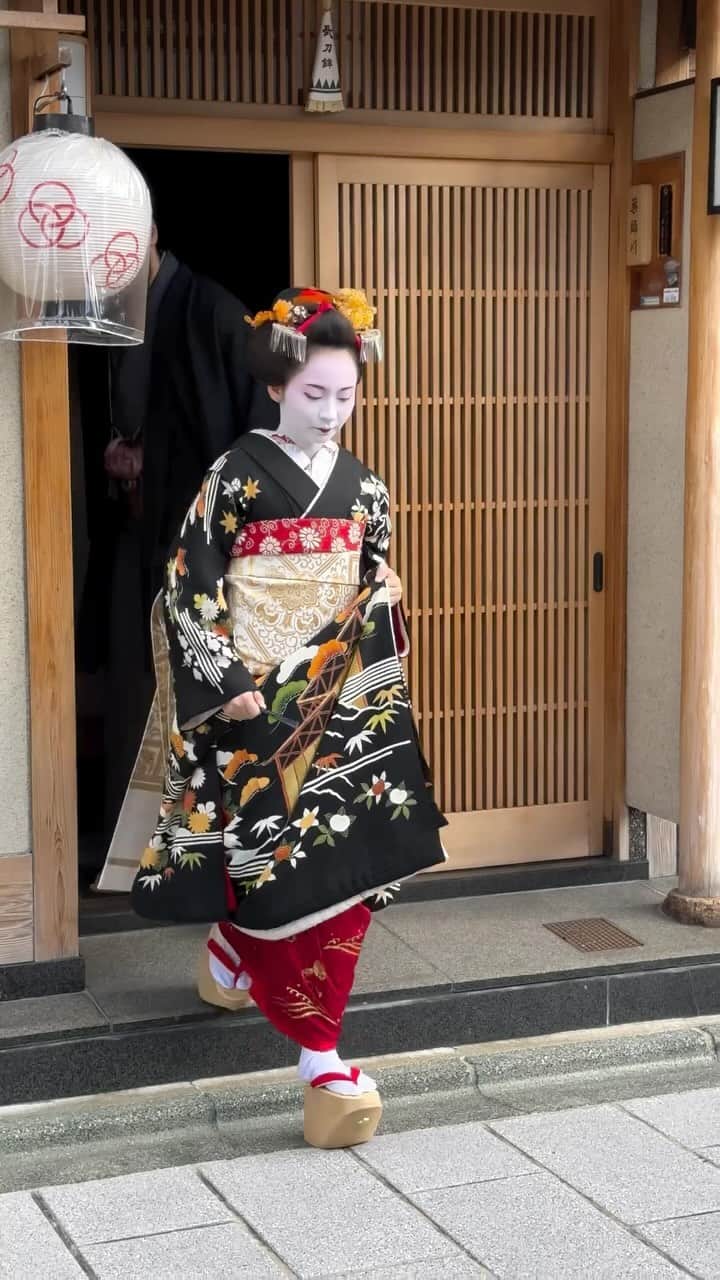 Earth Picsのインスタグラム：「Have you seen a Geisha in real life? Do you know their history?   The history of geishas, an iconic cultural symbol of Japan, dates back to the late 16th and early 17th centuries. Initially, geishas were male entertainers who performed at social gatherings, but by the 18th century, the role had become predominantly female. Geishas are highly skilled artists trained in various traditional Japanese arts, including music, dance, and singing, as well as in the art of conversation and hosting.  Geisha culture flourished during the Edo period (1603-1868) in Japan, particularly in the pleasure districts (hanamachi) of cities like Kyoto and Tokyo. Young girls often began their training in their teens, learning from experienced geishas in teahouses (okiya). The journey from apprentice (maiko) to a full-fledged geisha (geiko) involved rigorous training and dedication.  Via 🎥 @real_geisha_real_women  📍 Japan 🇯🇵」