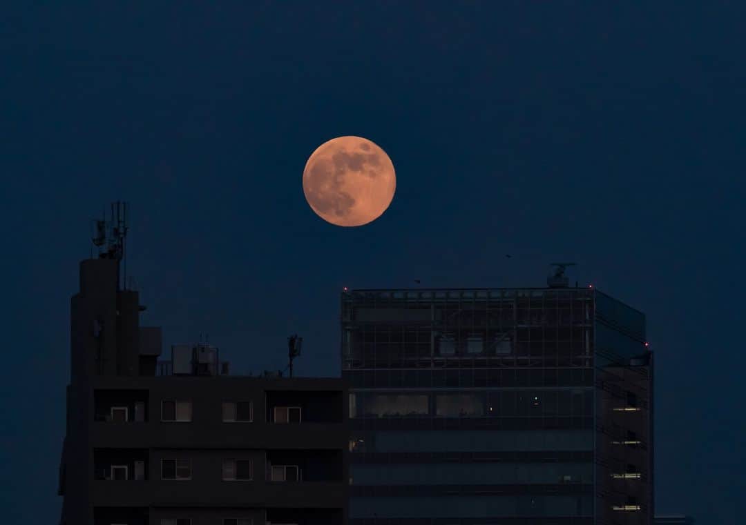 時任三郎のインスタグラム：「今日の月の出＠東京 #ビーバームーン #月の出 #満月」