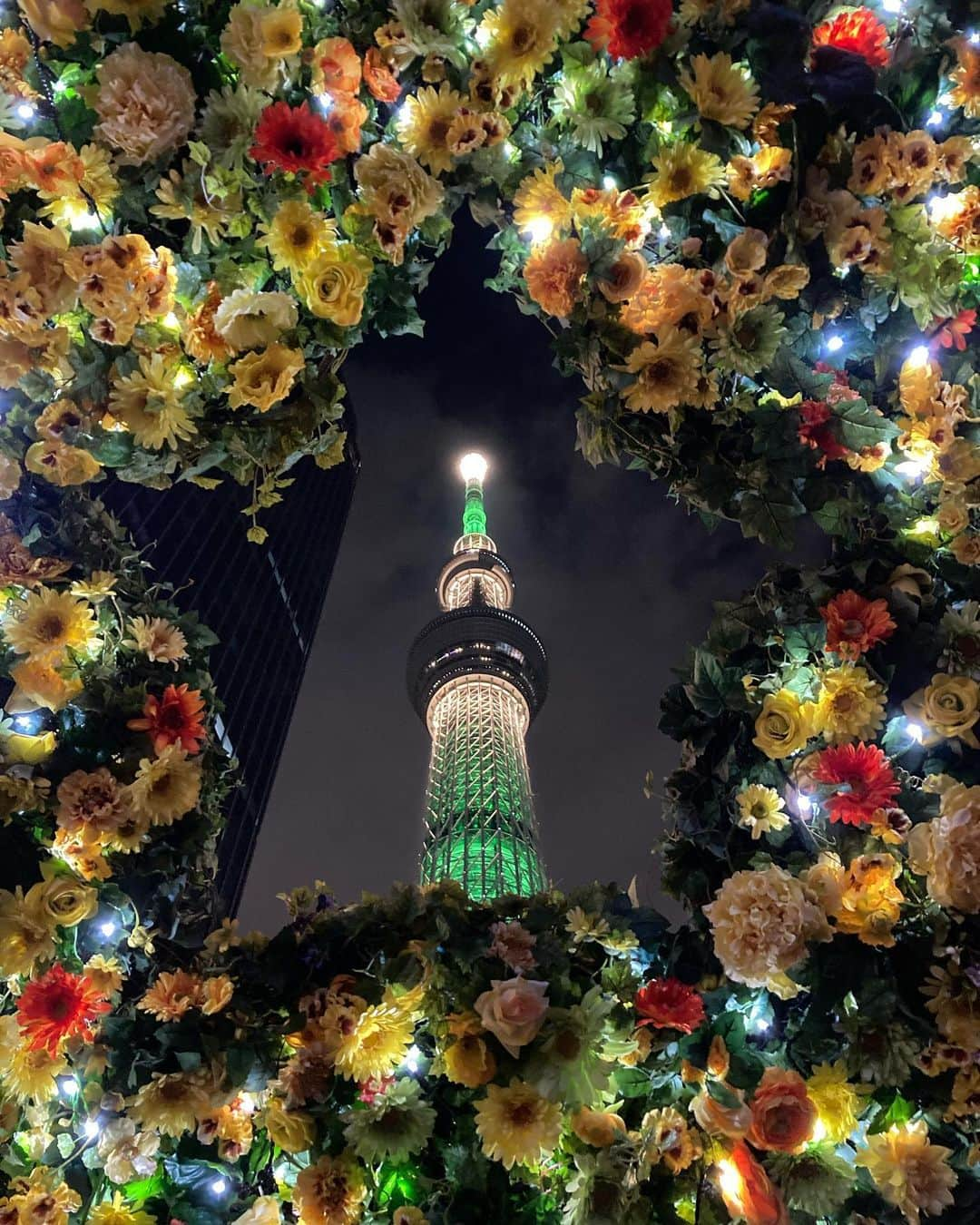 JALのインスタグラム：「. 花々に彩られた東京 #スカイツリー クリスマスツリーに見えませんか？ 🎄 #WorldlyNovember . ※写真の装飾は過去に実施されたものです。 . Photo by @meg.mimimi Post your memories with #FlyJAL  #JapanAirlines #JAL #travel #イルミネーション #クリスマス #クリスマスツリー #クリスマスリース #東京スポット #冬 #冬の風景 #夜景 #旅 #キラキラ #絶景 #絶景スポット #日本 #日本の絶景 #日本の風景 #国内旅行 #旅行 #日本航空」