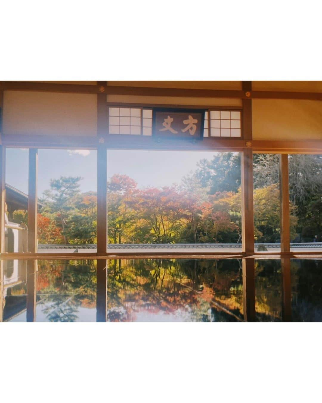 樋口日奈さんのインスタグラム写真 - (樋口日奈Instagram)「相老〜宝徳寺 #群馬  #散歩 🚶‍♀️」11月27日 17時41分 - higuchi_hina_official