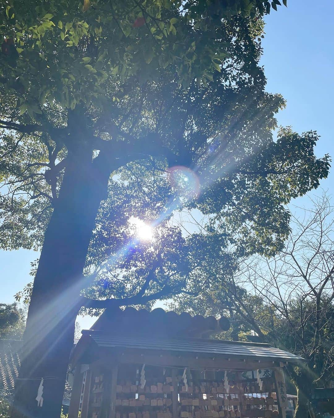 桃生亜希子さんのインスタグラム写真 - (桃生亜希子Instagram)「秋晴れの満月🌕。 　 　なると屋さんの11月ごはんを食べに鎌倉へ。　@narutoyakamakura     偶然にも同じタイミングで島根に来ていた　ときちゃん　@tokikonitta と出雲の思い出話をしたり、  今年を振り返り、来年に思いを馳せる時間。 　 　 　銭洗弁天　と葛原神社　にご挨拶してから、  ときちゃんに神様カードを引かせてもらう。✨  　　来年も、踊るように、旅をして生きる。 　　嬉しさが爆発して、踊りたくなるような素敵な出来事が待っている。 　 　楽しみ、笑顔で踊り、表現する。 　平和の波動を人に伝えることが私のお役目だそう。🙏✨ 　 　ありがたいね。 　 　みんなそれぞれ納得のカードが出て、面白かったな。  　 　1人1人が自分のことを知り、そのお役目を全うすることが、1番　この世界のためになる。 　 　 　色々あるけど、そんな世界は　もうすぐ来るよ。✨  #葛原神社　#銭洗弁天 #満月」11月27日 17時54分 - pinokosugar