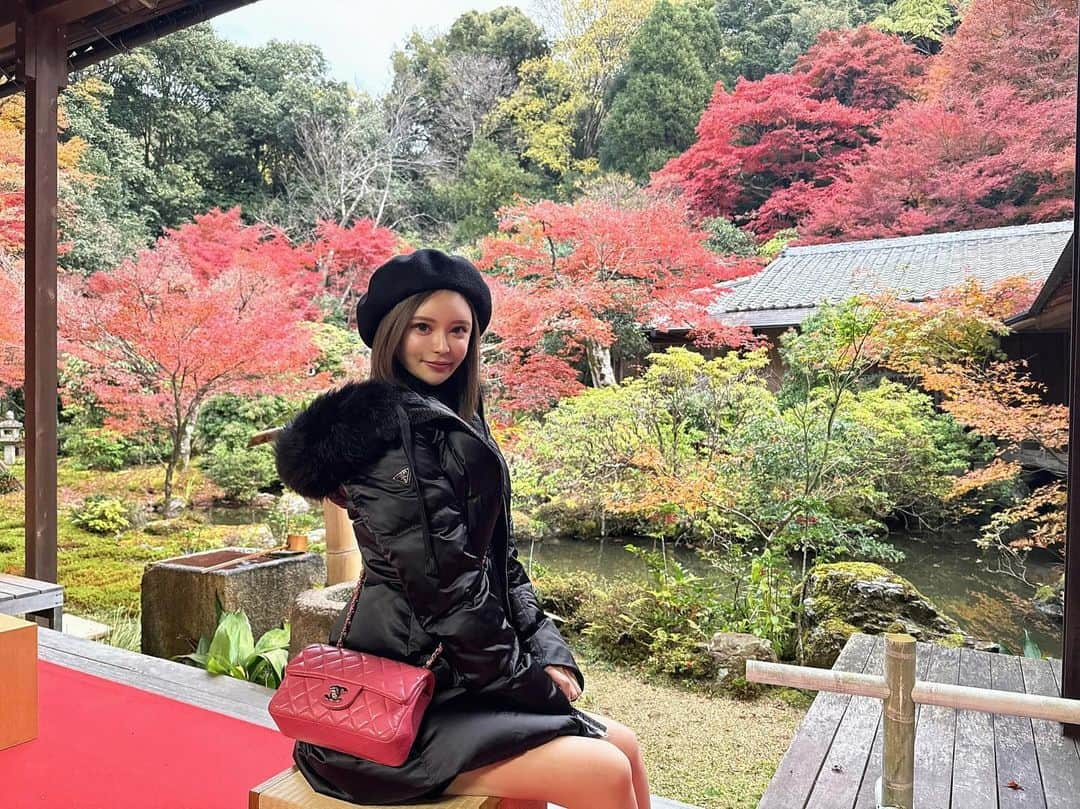 ゆいのインスタグラム：「. . .  紅葉の季節ですね🍁  紅葉にきてる周りのおばあちゃま達が可愛すぎた😌  . . .  #紅葉 #紅葉スポット #紅葉デート #紅葉シーズン #紅葉ライトアップ #床もみじ #京都 #京都紅葉 #デートスポット #秋コーデ #実相院門跡 #chanel #prada」