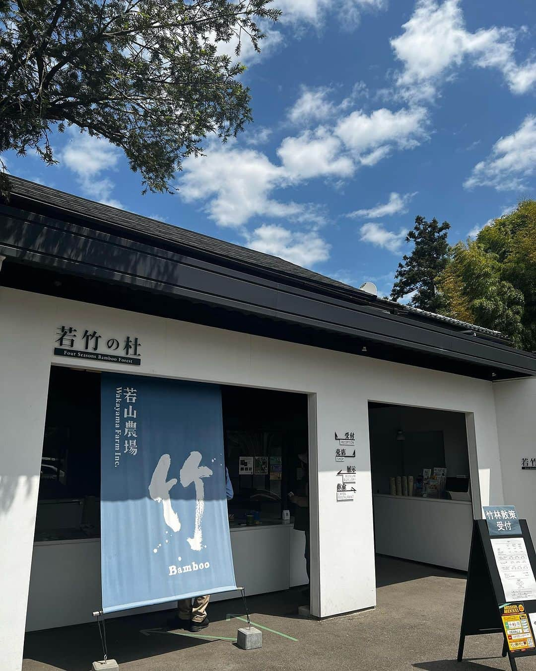 TOBU RAILWAY（東武鉄道）さんのインスタグラム写真 - (TOBU RAILWAY（東武鉄道）Instagram)「. . 📍Tochigi – Bamboo Forest Wakayama Farm A famous Tochigi spot where you can be healed by bamboo! . The Bamboo Forest in Wakayama Farm is located in Utsunomiya City in Tochigi Prefecture. It is a famous tourist spot where a grand bamboo forest spreads out before you! It is often used when shooting movies and commercials and is quite famous in Tochigi Prefecture.  There are plenty of activities here, and you can experience camping and bamboo crafts in the forest, as well as season-limited bamboo shoot picking. At the teahouse in the bamboo forest, you can enjoy matcha powdered tea in dining ware made with bamboo. We highly recommend it for visitors looking to relax. The bamboo forest is lit up with illumination at night, making it well worth a visit! . 📸by @ebi_net2 Thank you ! . . . . Please comment "💛" if you impressed from this post. Also saving posts is very convenient when you look again :) . . #visituslater #stayinspired #nexttripdestination . . #tochigi #bamboo #bambooforestwakayamafarm #touristspot #recommend #japantrip #travelgram #tobujapantrip #unknownjapan #jp_gallery #visitjapan #japan_of_insta #art_of_japan #instatravel #japan #instagood #travel_japan #exoloretheworld #ig_japan #explorejapan #travelinjapan #beautifuldestinations #toburailway #japan_vacations」11月27日 18時00分 - tobu_japan_trip