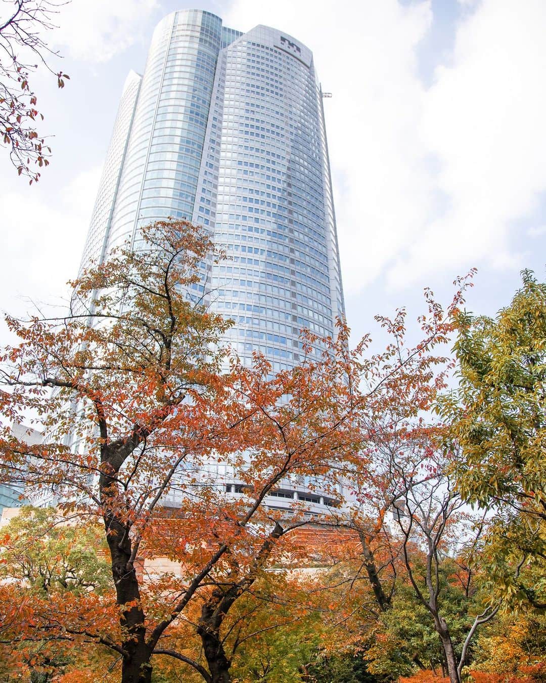 グランドハイアット東京のインスタグラム：「グランド ハイアット 東京の周辺の木々も色づき、ホテルが位置する六本木ヒルズの「毛利庭園」の紅葉も見ごろとなりました。  六本木にお越しの際は散策してみてはいかがでしょうか。  Despite our location in downtown Tokyo, there are a variety of ways to enjoy Japan’s changing seasons in and around Roppongi Hills. The complex’s sleek skyscrapers and beautiful installations form a stunning backdrop to the falling red leaves in Mohri Garden, located just minutes on foot from Grand Hyatt Tokyo.  Take some time to explore Roppongi on your next visit and uncover the unexpected delights of one of Tokyo’s best entertainment destinations.  #グランドハイアット東京 #grandhyatttokyo #grandhyatt #hyatt #worldofhyatt #tokyo #roppongihills #紅葉 #autumnleaves」