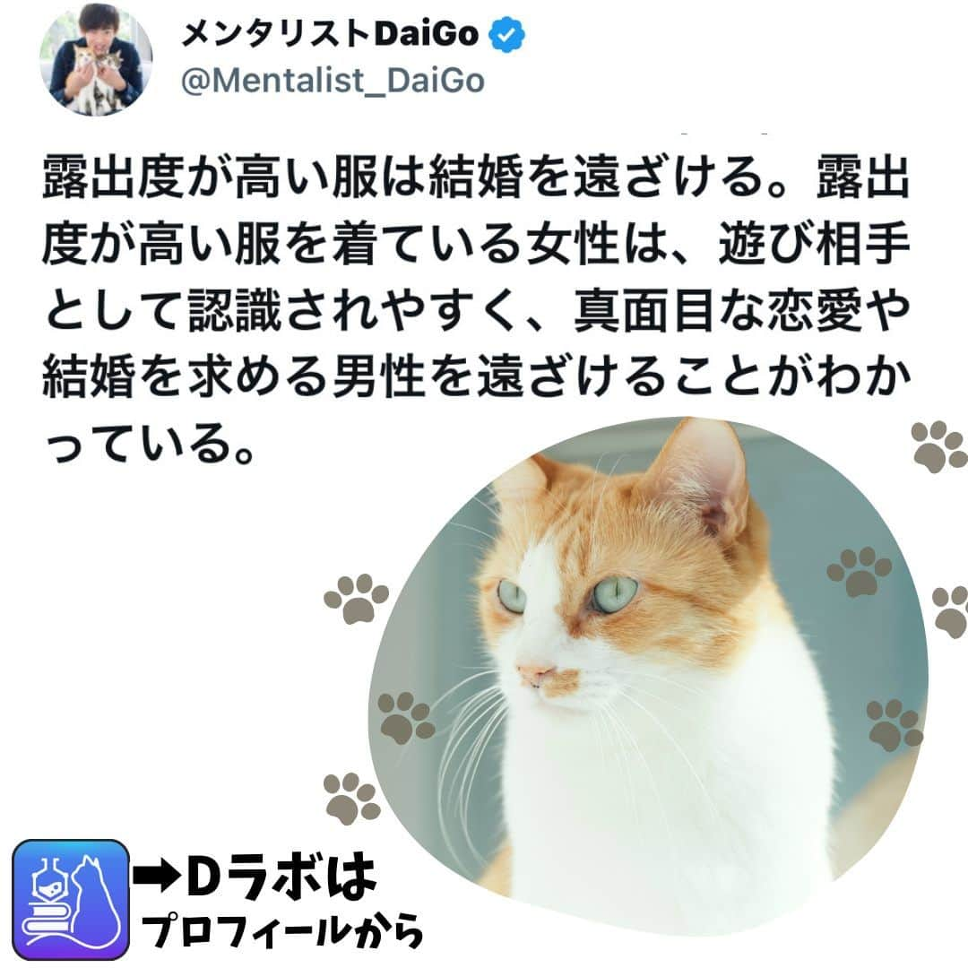 メンタリストDaiGoさんのインスタグラム写真 - (メンタリストDaiGoInstagram)「🐈本日の名言📚 プロフィールからDラボもみてね  #心理学 #メンタリスト #dラボ  #dラボはプロフィールから」11月27日 18時00分 - mentalistdaigo